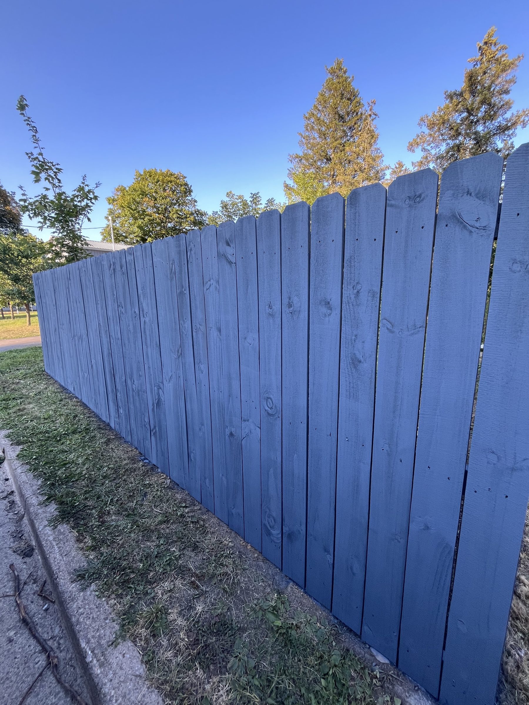 Fence After Painting